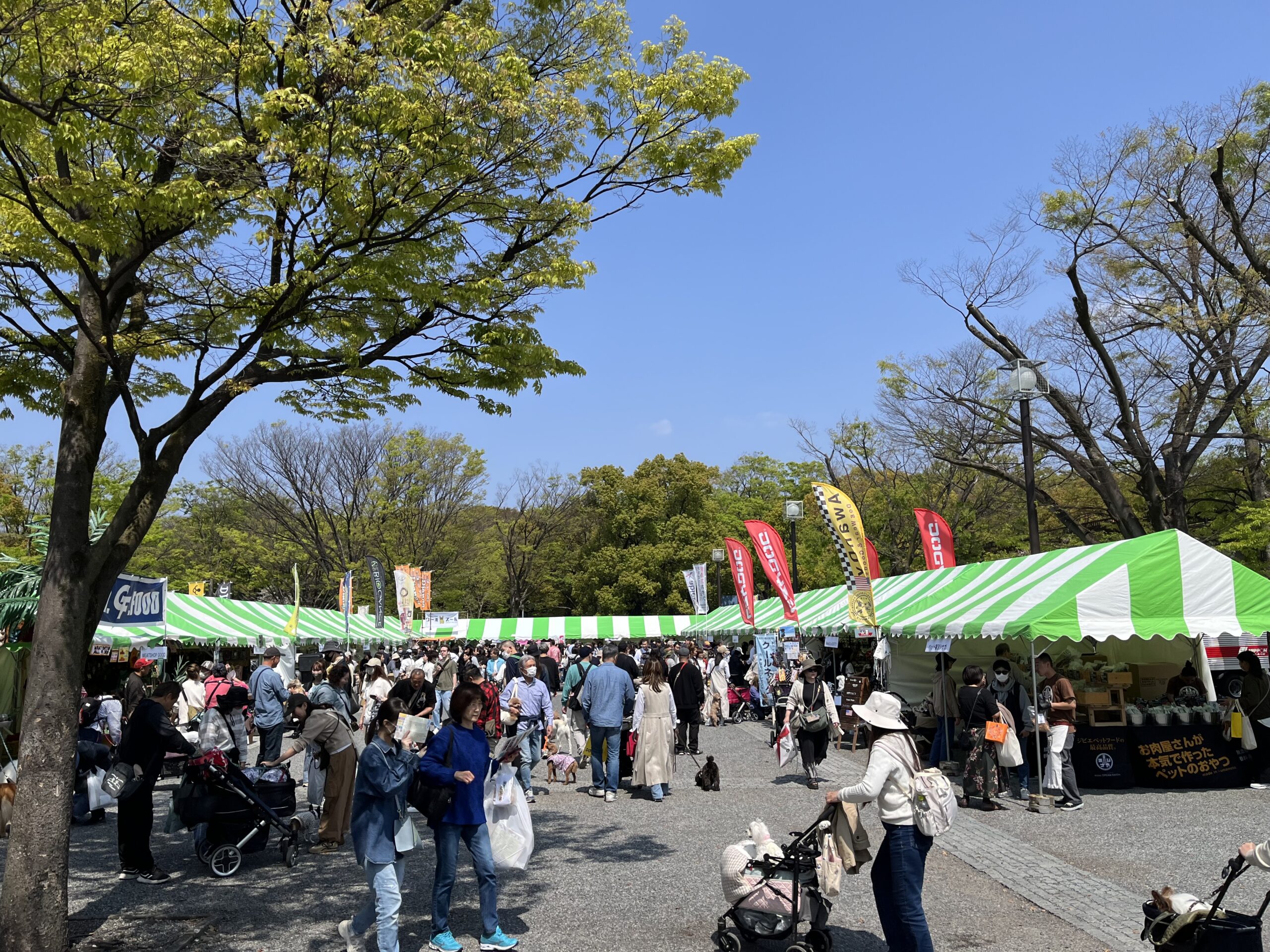 代々木公園わんわんカーニバル2025に出店します！4/12(土) – 4/13(日)