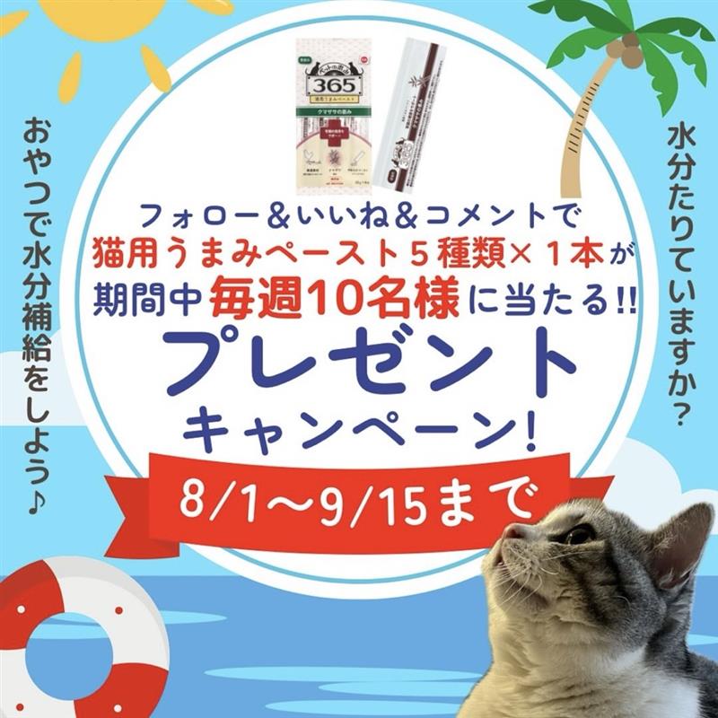 【8月＆9月】猫用うまみペーストプレゼントキャンペーンのお知らせ