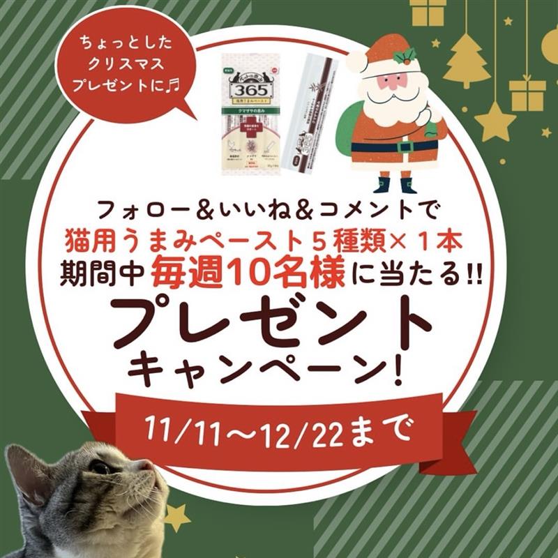 【11月&12月】猫用うまみペーストプレゼントキャンペーンのお知らせ
