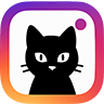 https://www.instagram.com/megumi365.cat_official/