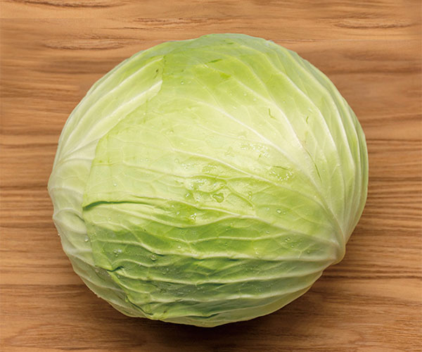 キャベツ