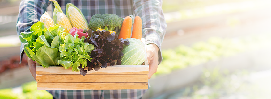 国産・自然素材