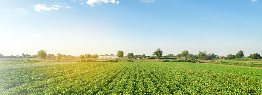 余計なものを入れない