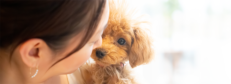 お悩みに合わせた選びやすさ