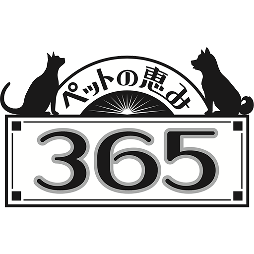 11月の試食会スケジュール