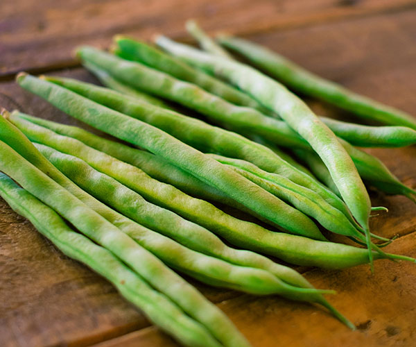 インゲン豆