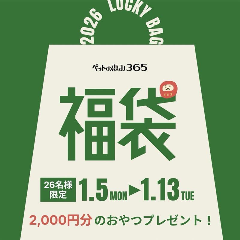 【インスタグラム限定】犬用福袋プレゼント企画のお知らせ