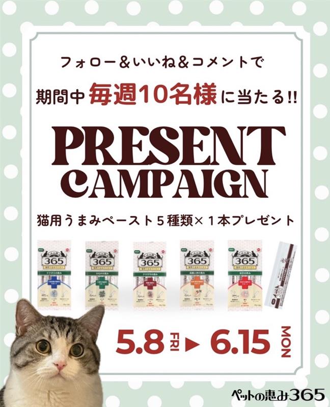【5月&6月】猫用うまみペーストプレゼントキャンペーンのお知らせ