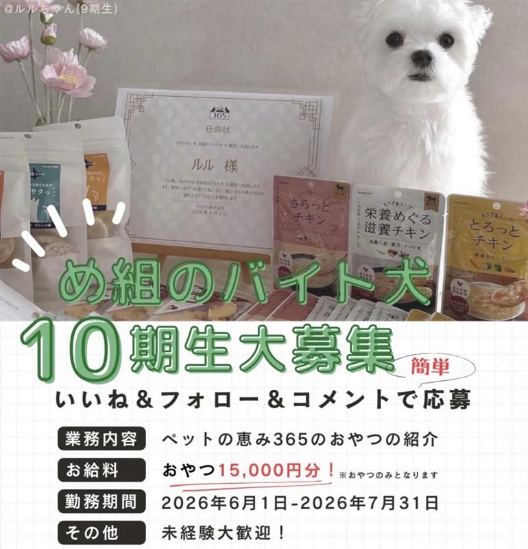バイト犬10期生を募集します！