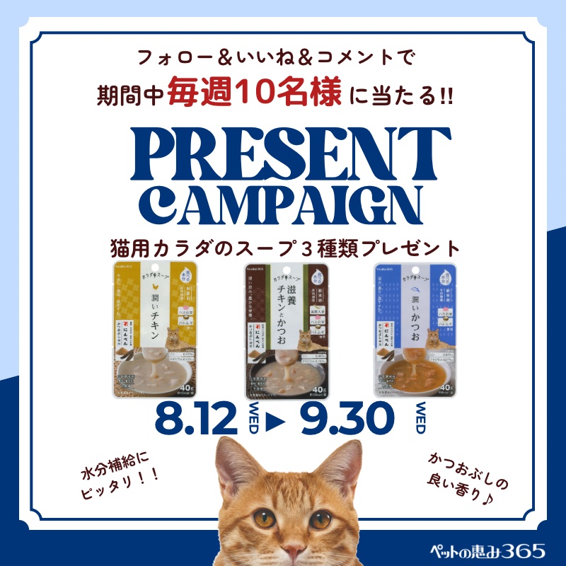 【2026年8月&9月】猫用カラダのスーププレゼントキャンペーンのお知らせ